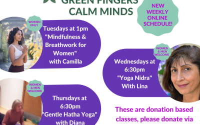 NEW – LIVE ONLINE WEEKLY CLASSES