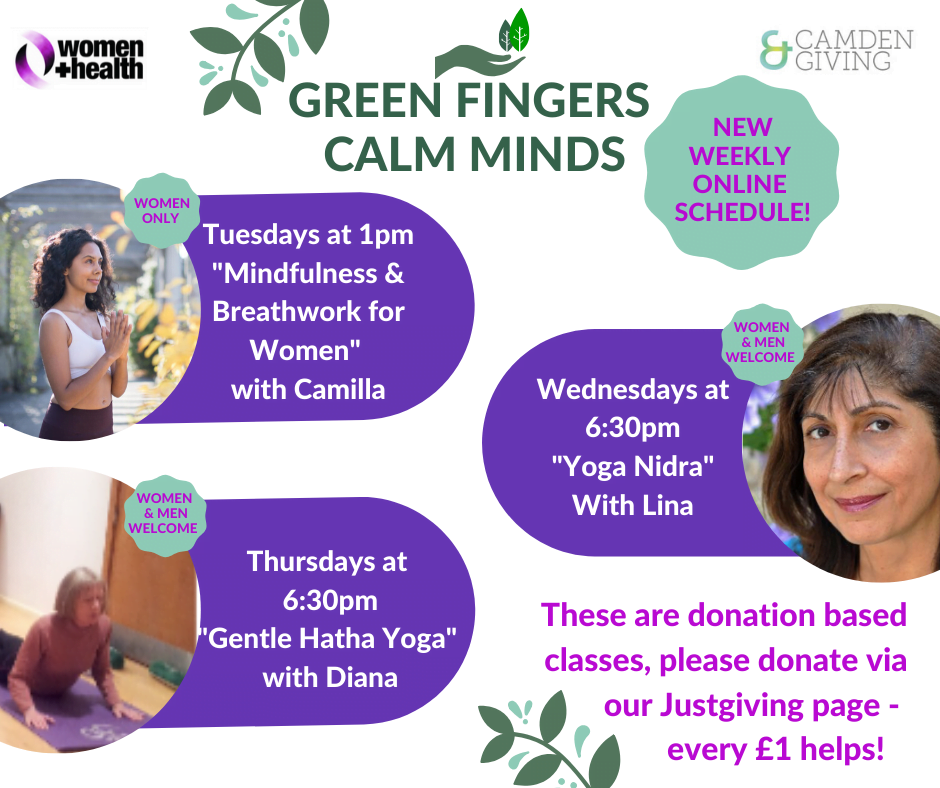 NEW – LIVE ONLINE WEEKLY CLASSES